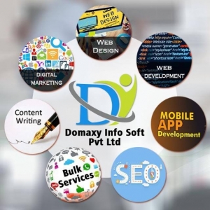 DOMAXY - Web Designing Company in Delhi